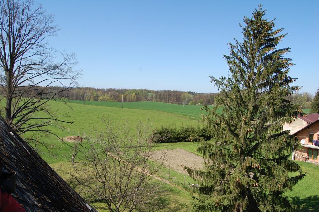 Kozi Farma U Nydrlu Villa Stara Cervena Voda Exterior photo